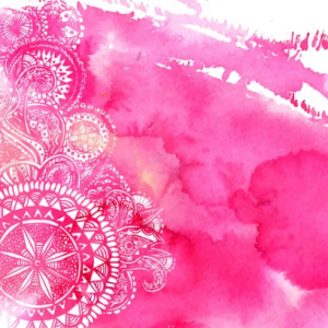 Sculpt & Shred Circuit Training